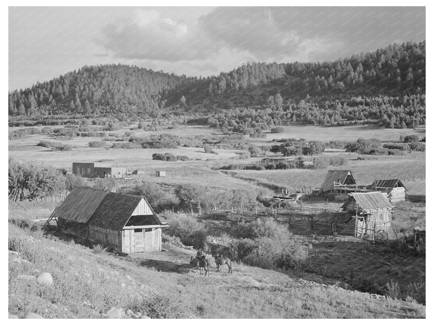Farming Landscape in Llano de San Juan New Mexico 1940