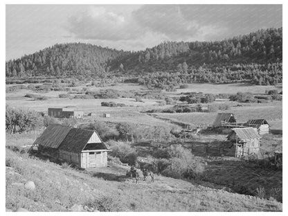 Farming Landscape in Llano de San Juan New Mexico 1940