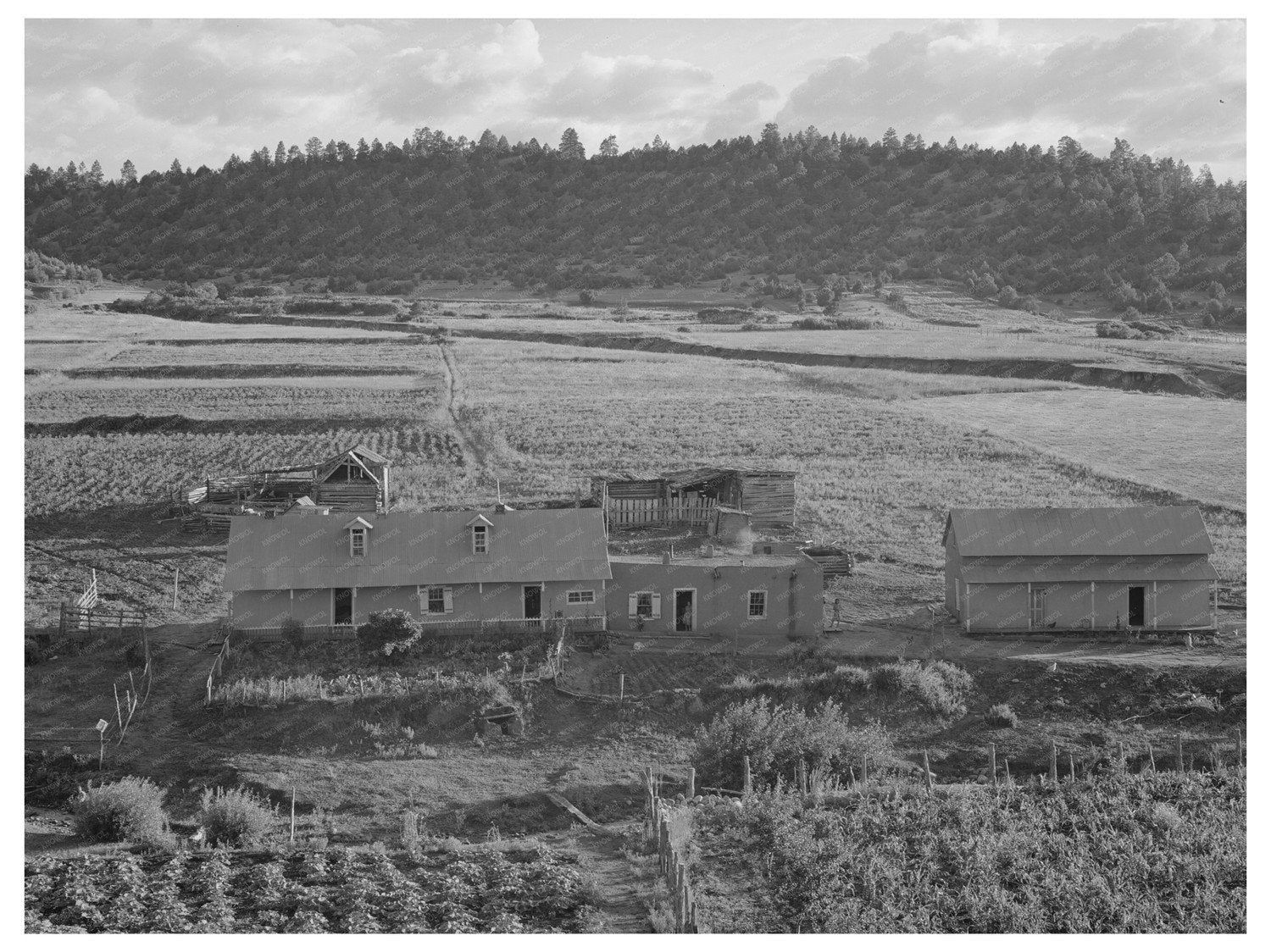 Spanish-American Family Homes in Taos County 1940