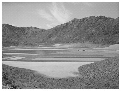 Dryland Farming in Cache County Utah 1940