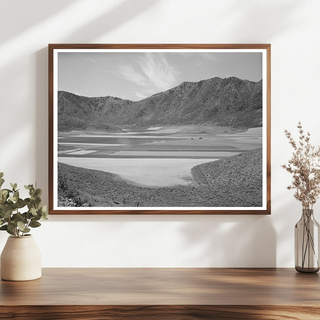 Dryland Farming in Cache County Utah 1940