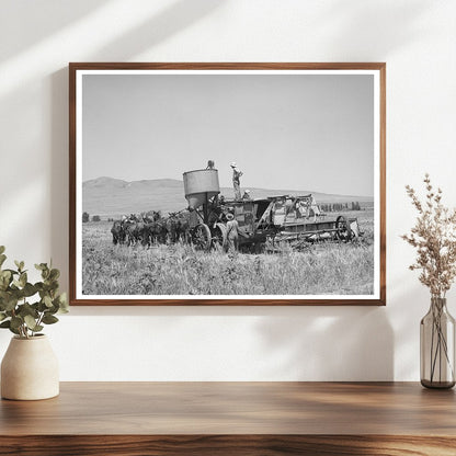 Ten Horse Team Drawing a Combine in Box Elder County 1940