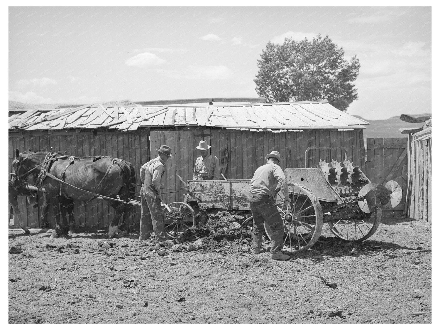 Farm Security Administration Manure Spreader 1940 Utah