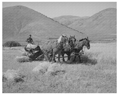 Cooperative Binder in Mantua Utah August 1940