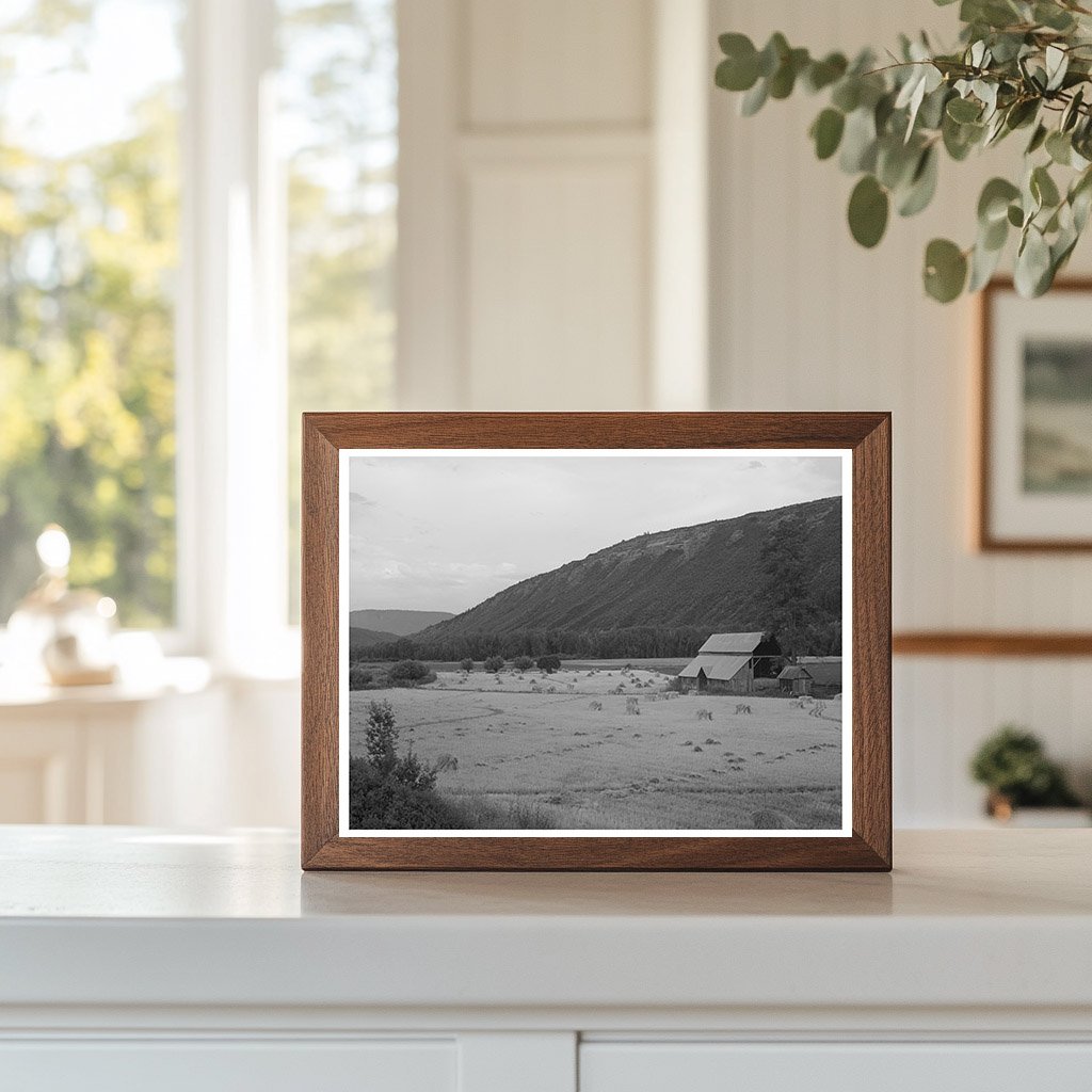 Wheat Field in Anchuleta County Colorado August 1940