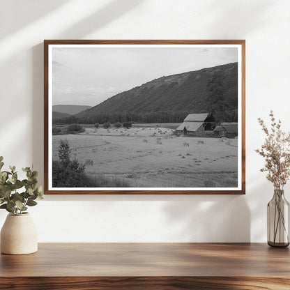 Wheat Field in Anchuleta County Colorado August 1940