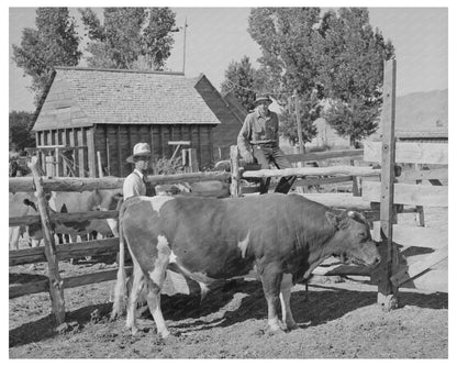 FSA Cooperative Bull Box Elder County Utah August 1940