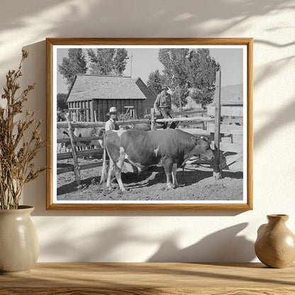 FSA Cooperative Bull Box Elder County Utah August 1940