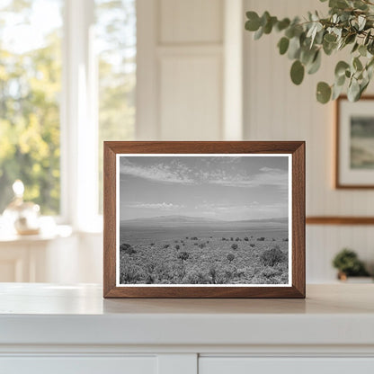 Box Elder County Utah Landscape August 1940