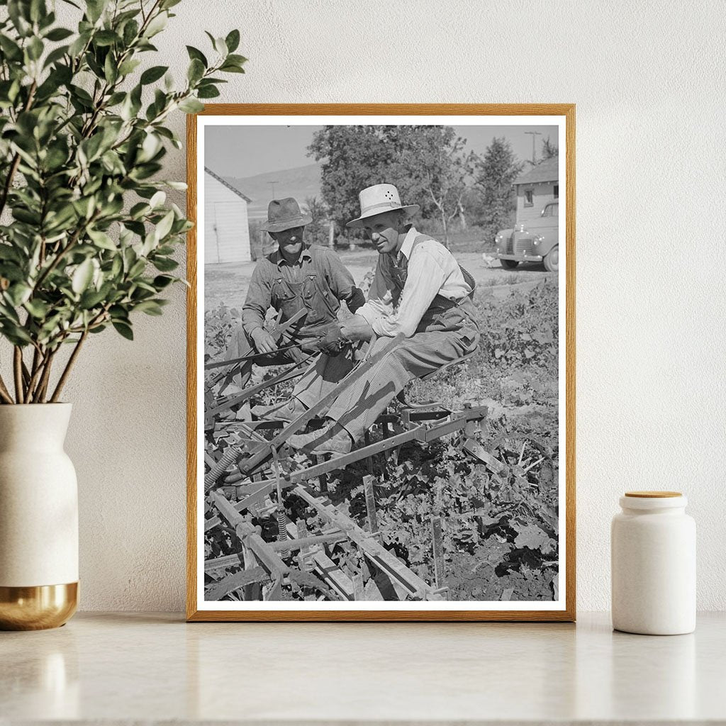 Farmers Cultivating Sugar Beets Box Elder County Utah 1940