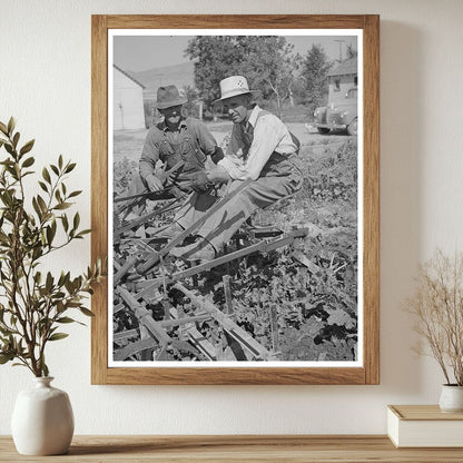 Farmers Cultivating Sugar Beets Box Elder County Utah 1940