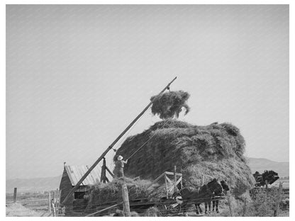 Haystacking Operation in Box Elder County Utah 1940