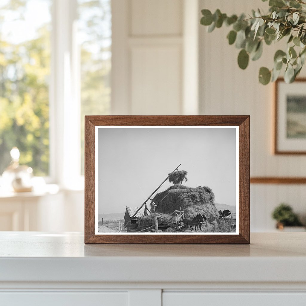 Haystacking Operation in Box Elder County Utah 1940