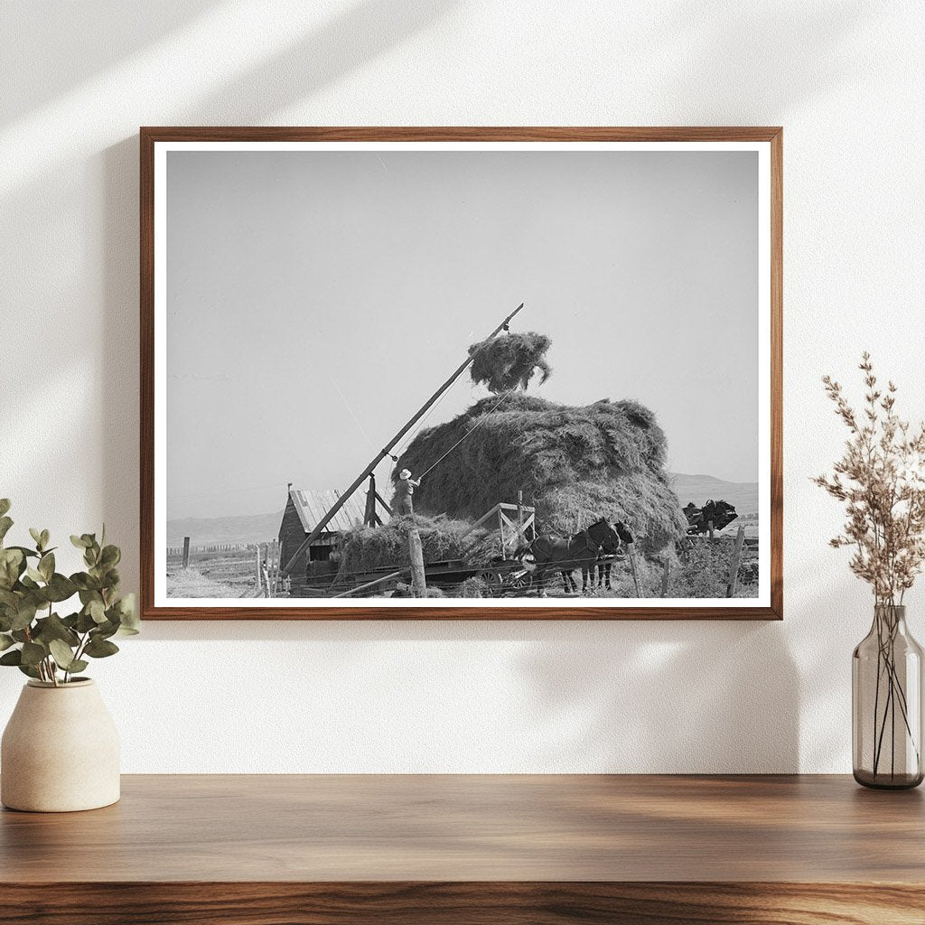 Haystacking Operation in Box Elder County Utah 1940