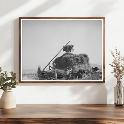 Haystacking Operation in Box Elder County Utah 1940