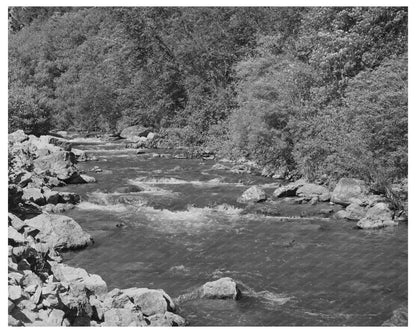 Logan River Mountain Stream Cache County Utah August 1940