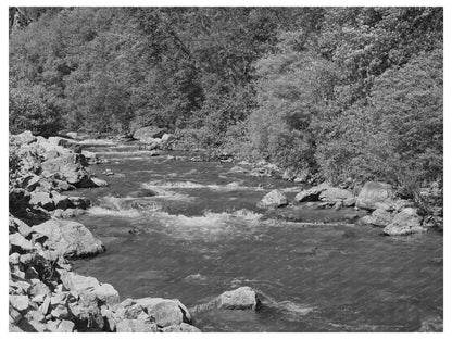 Mountain Stream Logan River Cache County Utah 1940