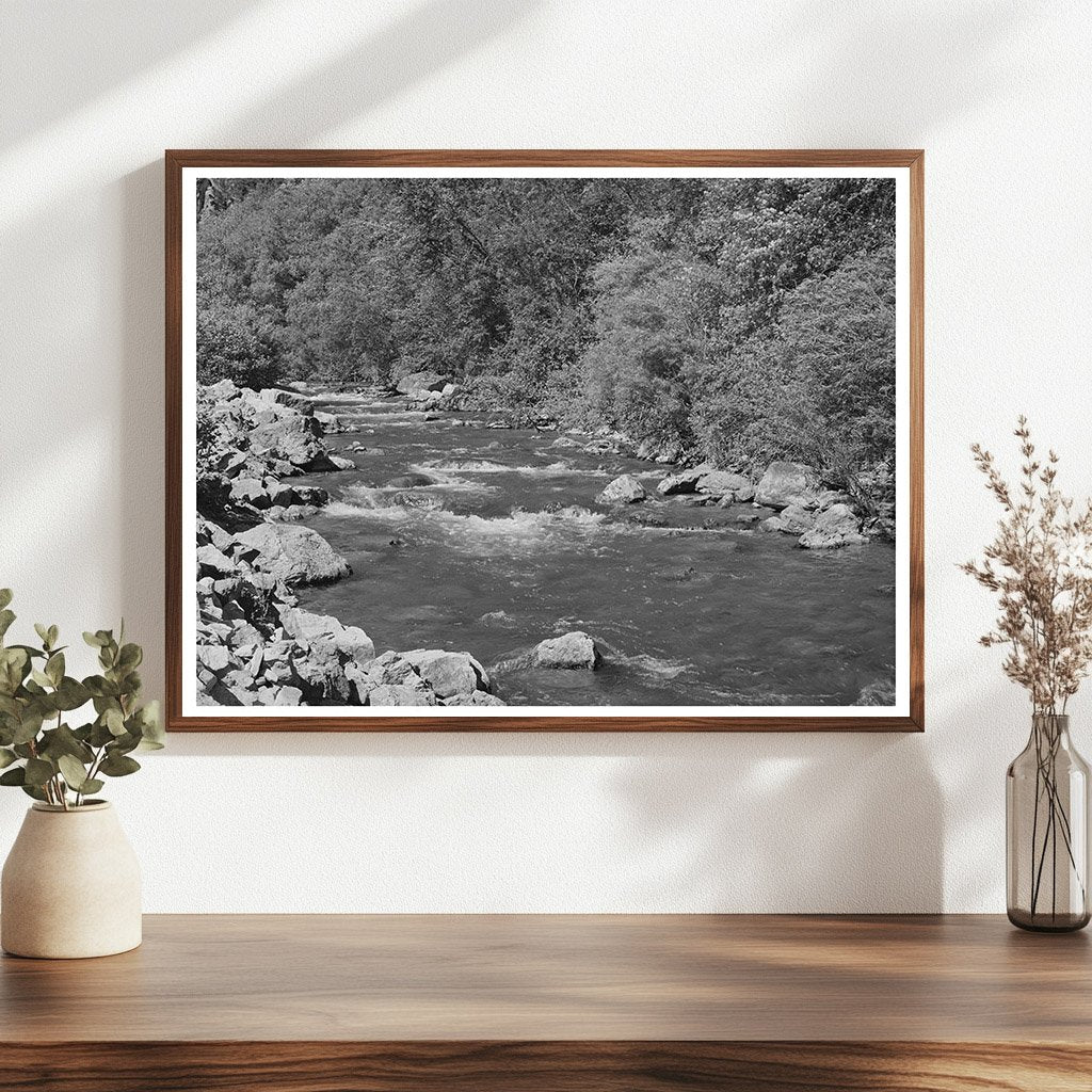 Mountain Stream Logan River Cache County Utah 1940