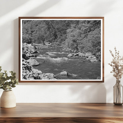 Mountain Stream Logan River Cache County Utah 1940