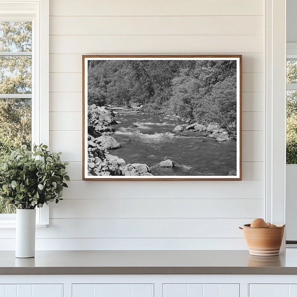 Mountain Stream Logan River Cache County Utah 1940