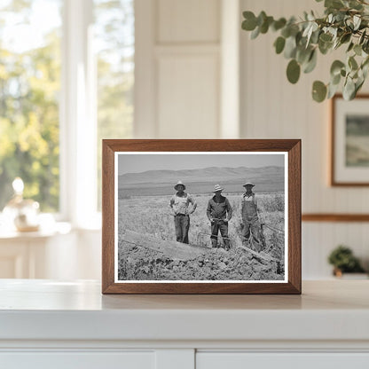 Farm Security Administration Ditcher Team Utah 1940