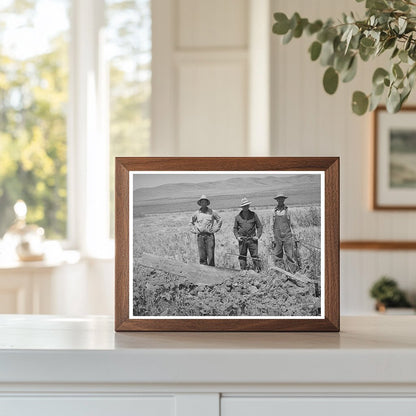 Farm Security Administration Cooperative Ditcher Utah 1935-1942