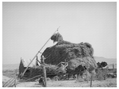 Hay Stacking with Mormon Hay Stacker Box Elder County 1940