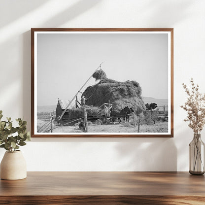 Hay Stacking with Mormon Hay Stacker Box Elder County 1940