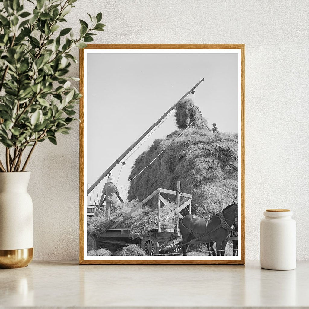 Mormon Hay Stacking in Box Elder County Utah August 1940