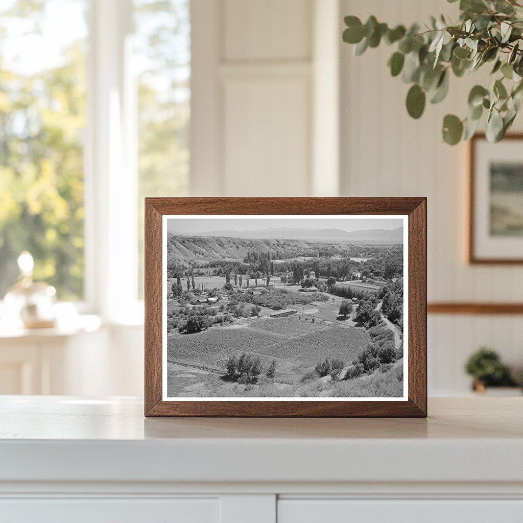 Farming Landscape in Logan Utah August 1940