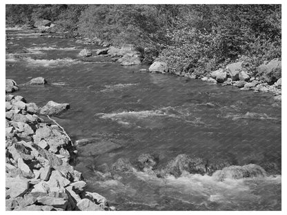 Mountain Stream in Cache County Utah August 1940