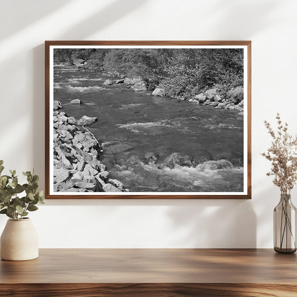 Mountain Stream in Cache County Utah August 1940