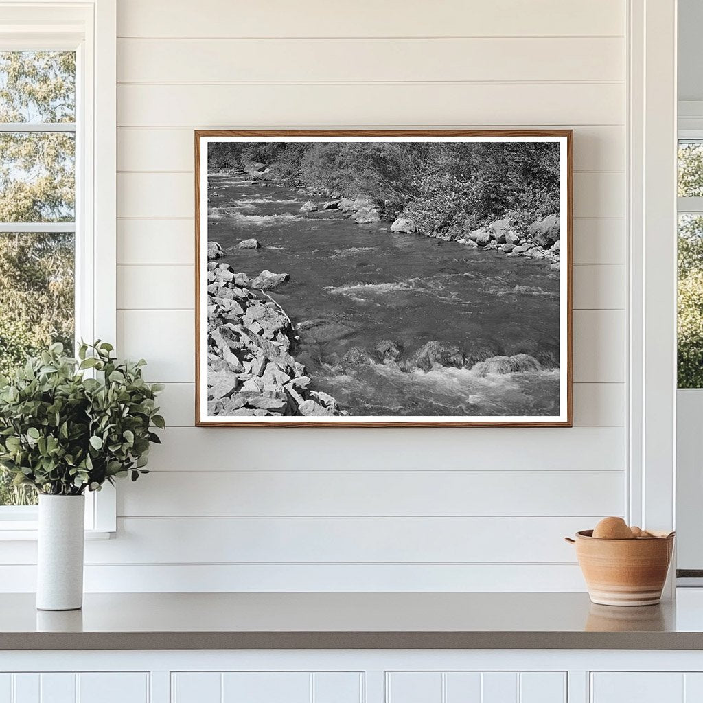 Mountain Stream in Cache County Utah August 1940