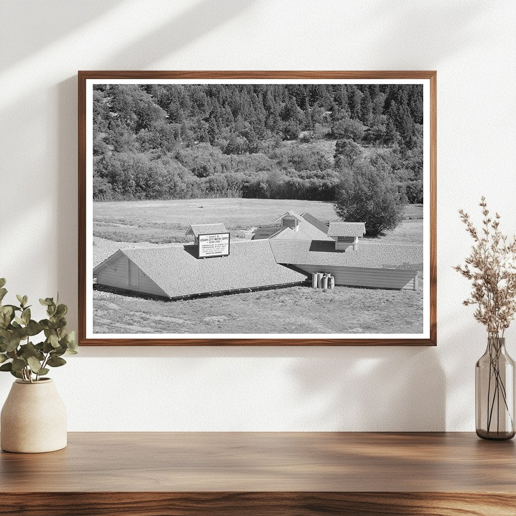 Logan Utah Water Supply Source August 1940 Image