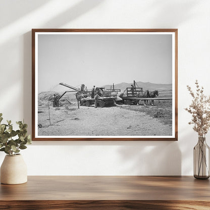 Threshing Barley in Box Elder County Utah August 1940