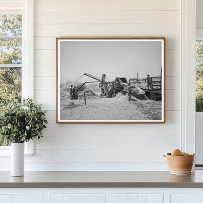 Barley Threshing in Box Elder County Utah August 1940