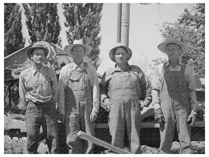 Harper Hay Chopper Farm Security Administration 1940