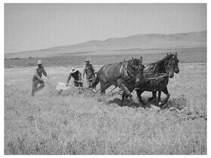 West Bear River Ditcher Operation Box Elder County 1940