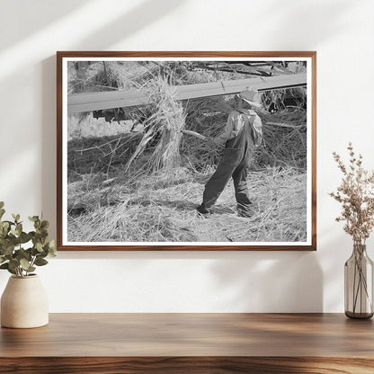 Boy Pitching Grain in Box Elder County Utah August 1940