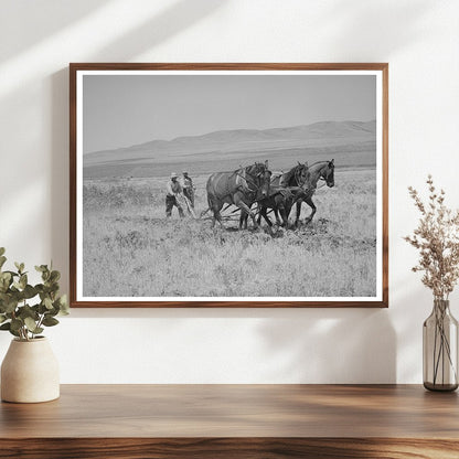Ditch Digging Process in Box Elder County Utah 1940