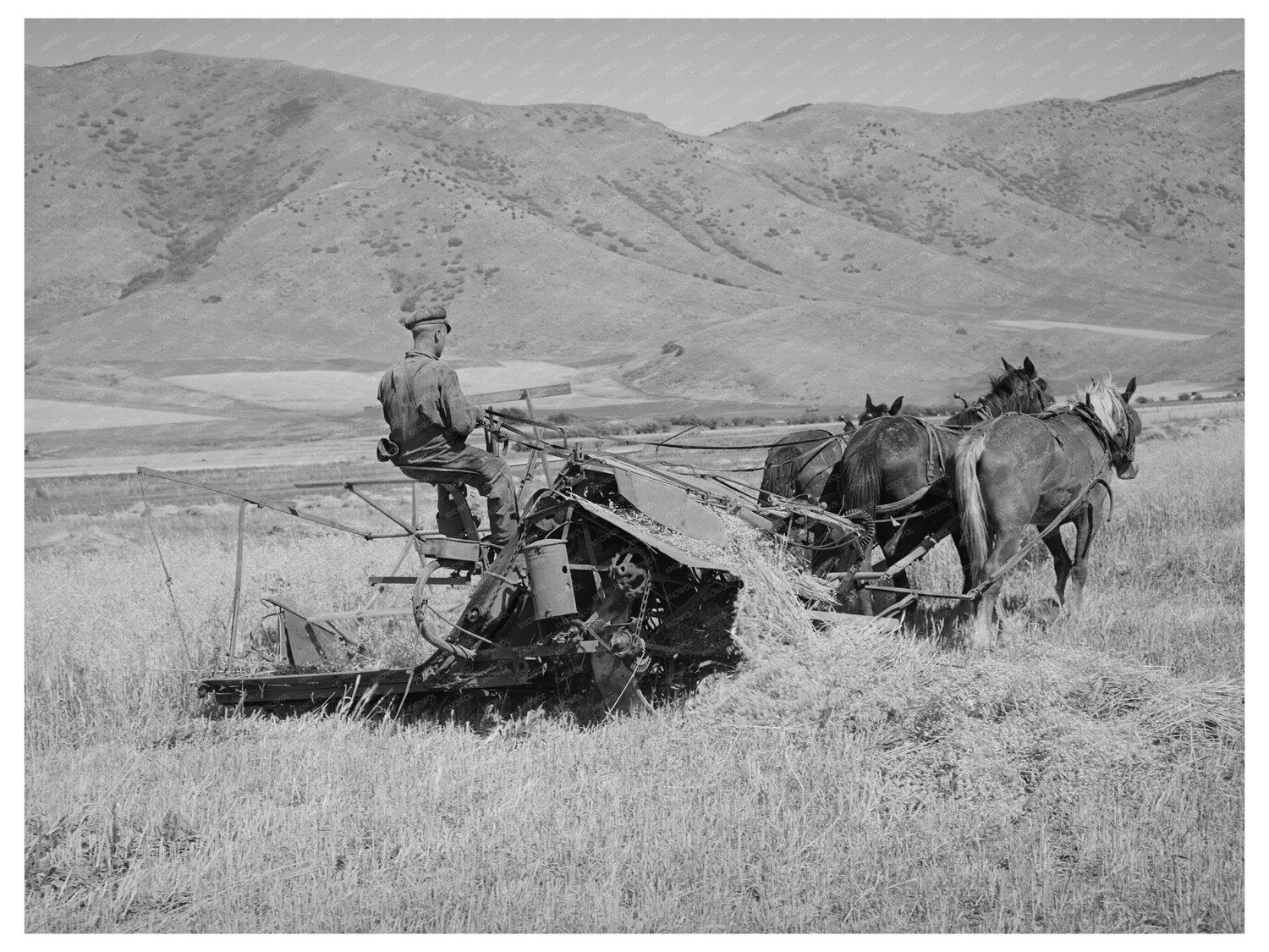 Cooperative Binder in Operation Mantua Utah August 1940