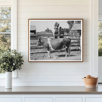 Cooperative Bull Agricultural Practices Box Elder County 1940