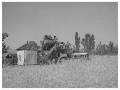 Box Elder County Utah Farming Scene August 1940