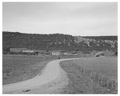 Taos County New Mexico Rural Scene August 1940