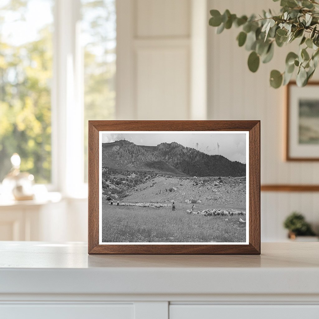 Transportation of Fat Lambs to Cimarron Colorado 1940