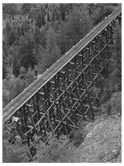 Narrow Gauge Railroad Trestle Ophir Colorado 1940