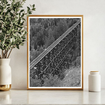 Narrow Gauge Railroad Trestle Ophir Colorado 1940