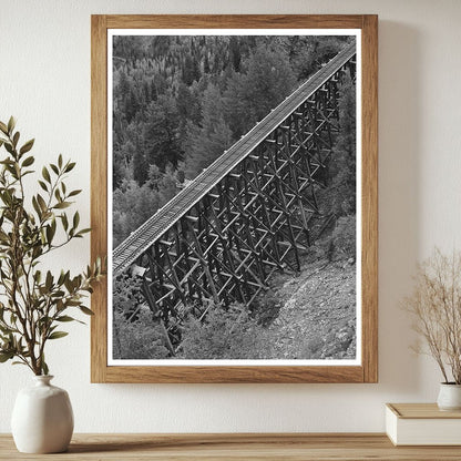 Narrow Gauge Railroad Trestle Ophir Colorado 1940