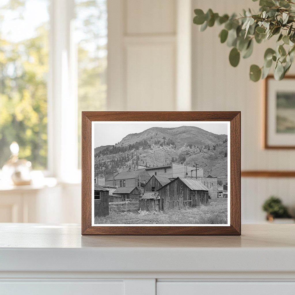 Telluride Colorado Backyards September 1940