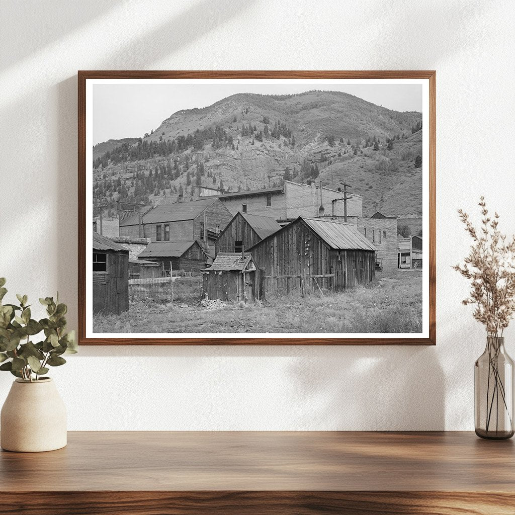 Telluride Colorado Backyards September 1940